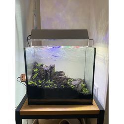 小型水槽リセットのお手伝いをさせていただきました。の画像2