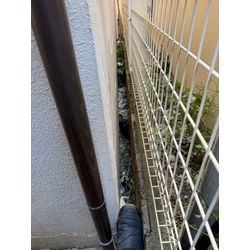 東京都荒川区鼠駆除【大掃除キャンペーン】の画像1