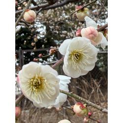 介護疲れはコレで解消の画像1