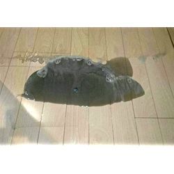 ワックス剥離の液をみて、びっくり！！の画像1