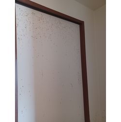 壁紙再生の画像1