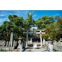 気持ちのいい朝💛の画像2