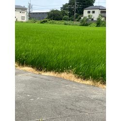 川越市への画像1