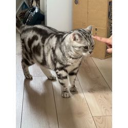 ひさびさにの画像2