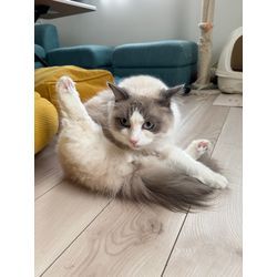 ひさびさにの画像3