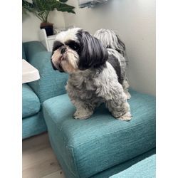 ひさびさにの画像1