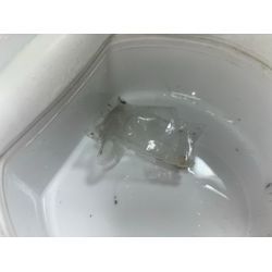 あきる野市でドラム式洗濯機の詰まり除去に行ってきました！の画像2