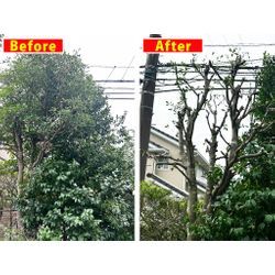 くらしのマーケット「剪定」部門 船橋エリアで1位をいただくことができました！の画像2