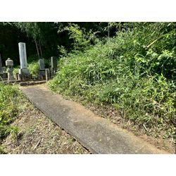 除草作業をさせて頂きました！の画像2