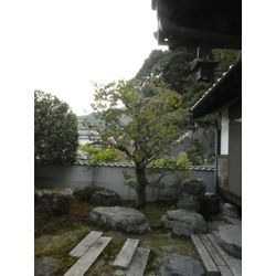 剪定作業| 広島県山口県で庭木の剪定は塩田剪庭園の画像3