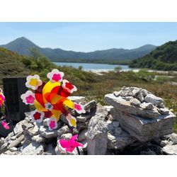 青森へ行きました　02の画像1