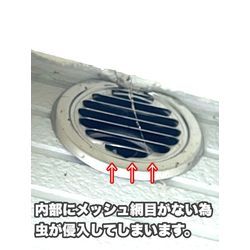 福岡県久留米市　ゴキブリの画像1