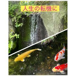 本当に使うものに囲まれる生活を＾＾の画像1