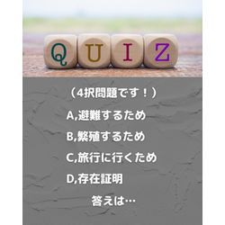季刊誌クイズ3、Q. シロアリはなぜ大量の羽アリを飛ばすのでしょう？の画像2