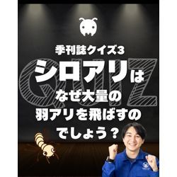 季刊誌クイズ3、Q. シロアリはなぜ大量の羽アリを飛ばすのでしょう？の画像1