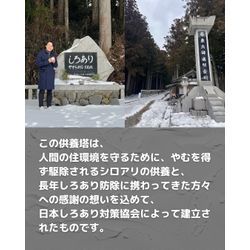 高野山にある、しろあり供養塔へのお参り2026年の画像2