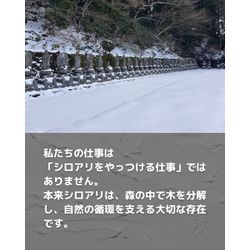 高野山にある、しろあり供養塔へのお参り2026年の画像3