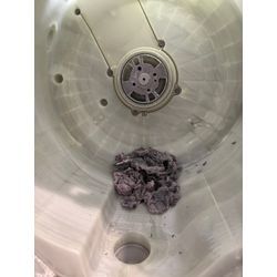 シャープドラム式洗濯機クリーニングの画像2