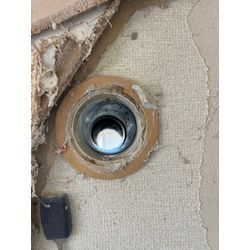 東京都足立区ネズミ駆除の画像1