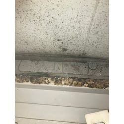 【今日も一日】の画像1