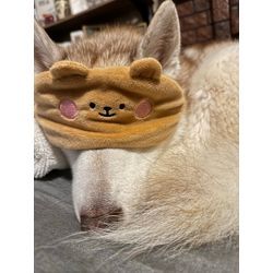 「“またお願いしたい”が増えてきた事が何より嬉しいです。」の画像2