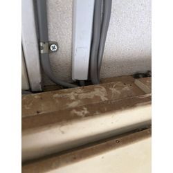 川越市ネズミ駆除の画像1