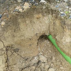 モグラ駆除の画像1