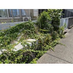 ご自宅裏にある雑草処理のご依頼をいただきましたの画像1