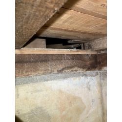 奈良県にてイタチ・ネズミ被害駆除防除対策を行いました。の画像1