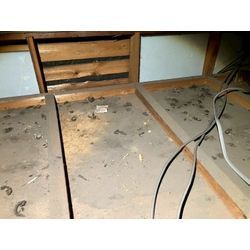 奈良県にてイタチ・ネズミ被害駆除防除対策を行いました。の画像2