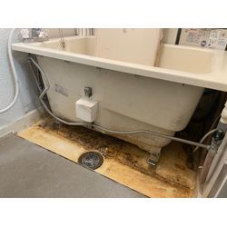 ゴキブリ防除の画像1