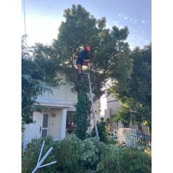 鈴鹿市　伐採廃棄の画像1