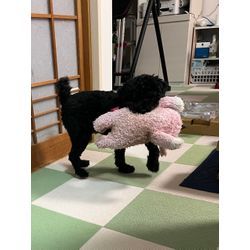 ビルトインコンロ取り替えの画像2