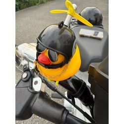 7月の画像1
