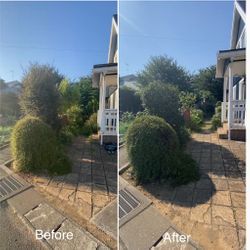 玄関アプローチが生まれ変わる！スッキリ剪定ビフォーアフターの画像2