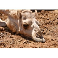 水不足？？の画像1