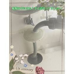 高圧洗浄作業の画像2