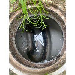 高圧洗浄作業の画像1