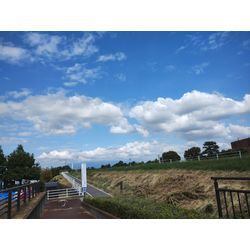 秋晴れ日は伊勢崎で庭木剪定⇒前橋で草むしり　〜群馬の庭師ブログ〜の画像3