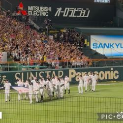 阪神タイガース史上最速リーグ優勝しました〜！！の画像3