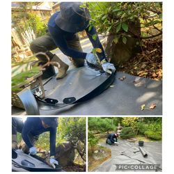 草をもう生やしたくない――。の画像2