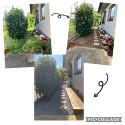 草をもう生やしたくない――。の画像1