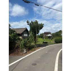 八代市　F様宅　伐採 ①の画像2