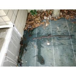 ドレンホースのホース内の詰まり物が出ました！の画像1