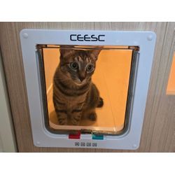 〚ペットドア取り付け〛⁡サービスのご紹介＼_(･ω･`)の画像1