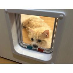 〚ペットドア取り付け〛⁡サービスのご紹介＼_(･ω･`)の画像3