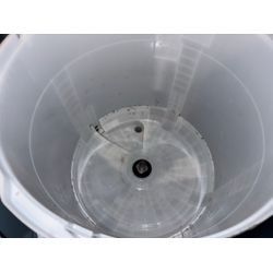 本日もビートウォッシュ✨の画像2