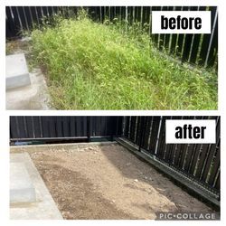 お庭の雑草撤去の画像1