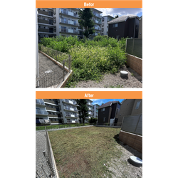 【調布市】建築予定地の除草作業　2025年7月19日の画像1