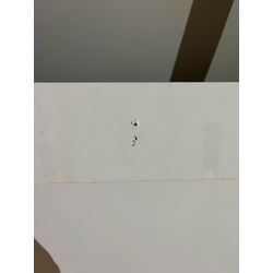 出張を終えて本日は…の画像2